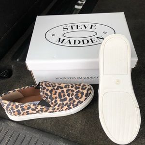 Steve Madden Safary Sneaker
